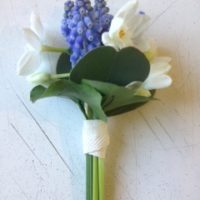 Natural Muscari and Paperwhite buttonhole