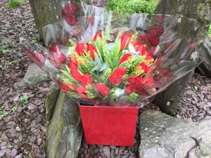 Red Tulips in Box