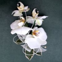 White Orchid corsage